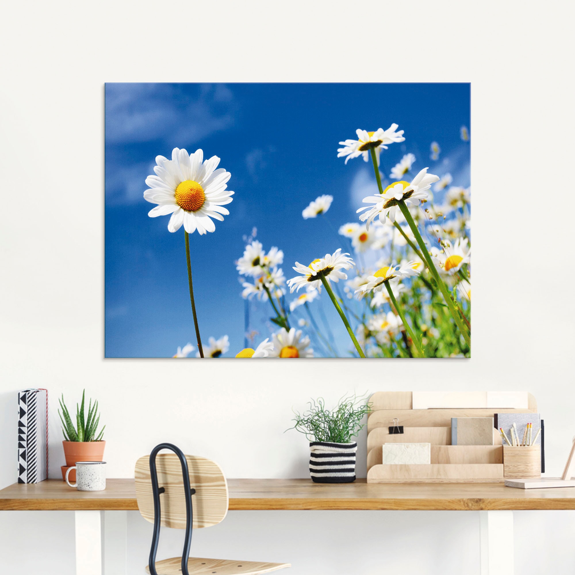 Artland Glasbild »Gänseblümchen«, Blumenwiese, (1 St.), in verschiedenen Größen