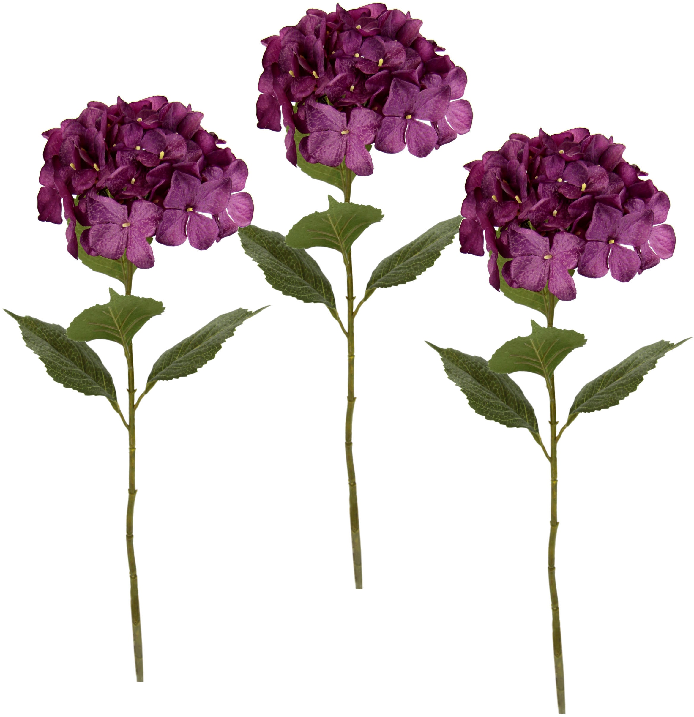 I.GE.A. Kunstblume »Hortensie« 3vnt. rinkinys