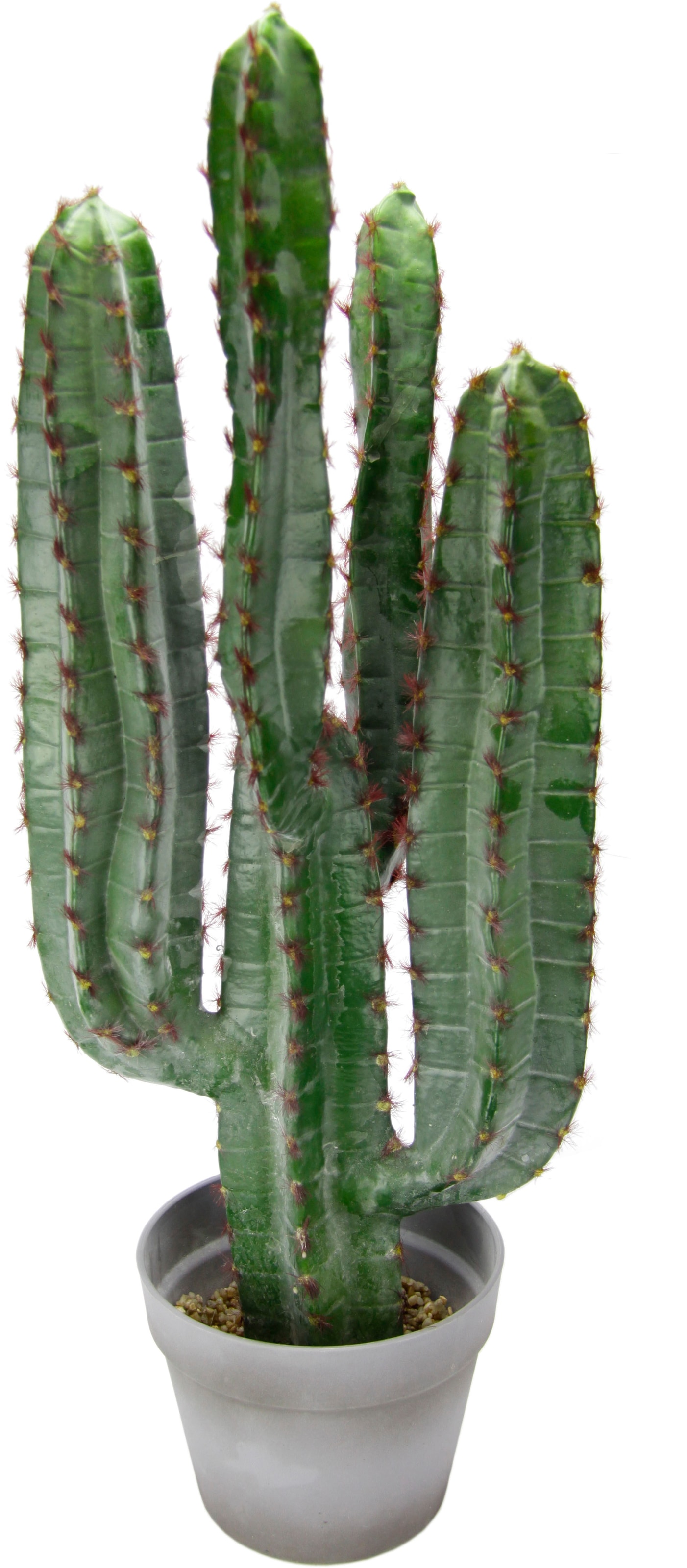 I.GE.A. Kunstpflanze »Säulenkaktus«, 70 cm