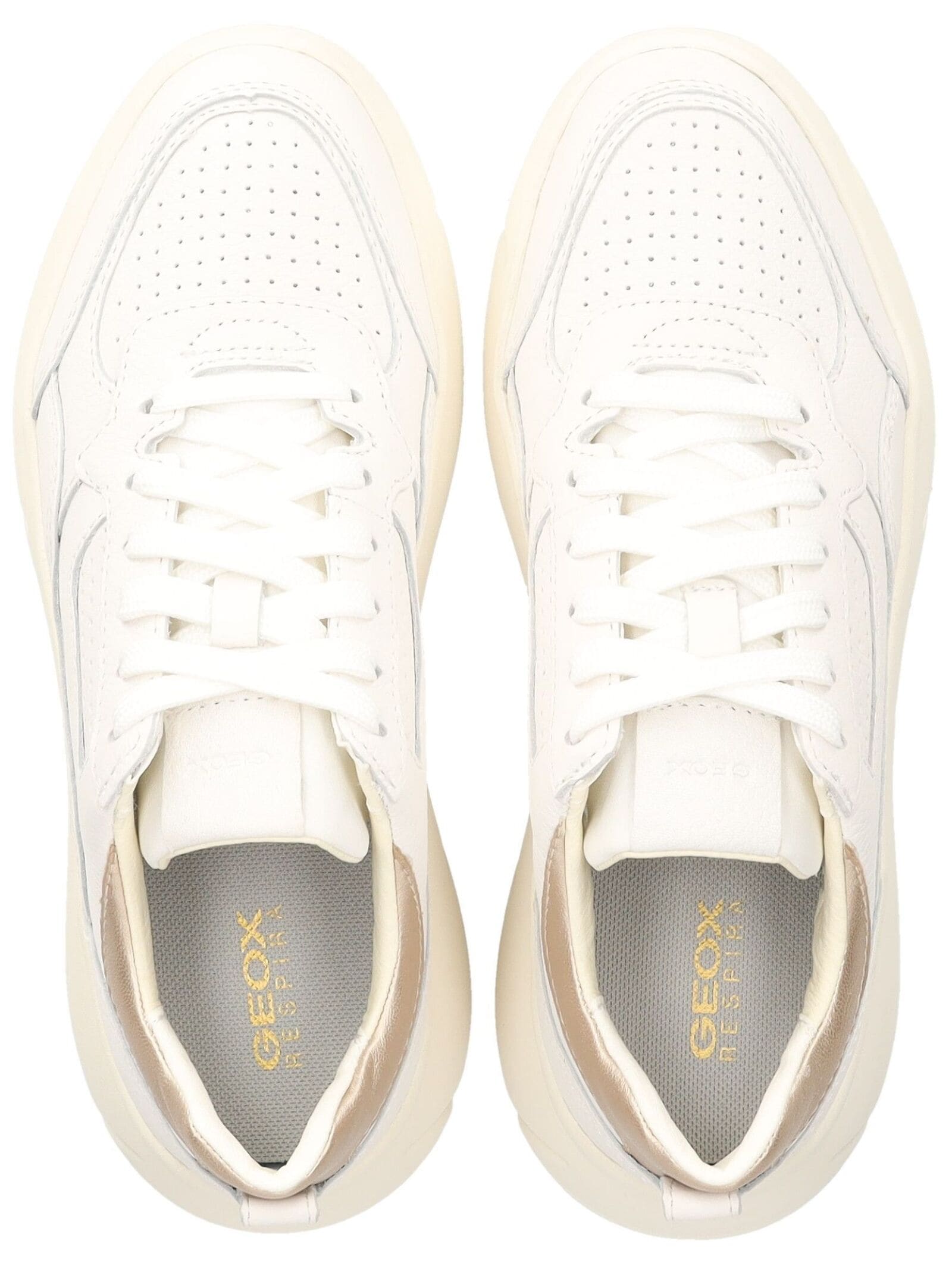 Geox Sneaker »Geox Sneaker Leder/Mesh«
