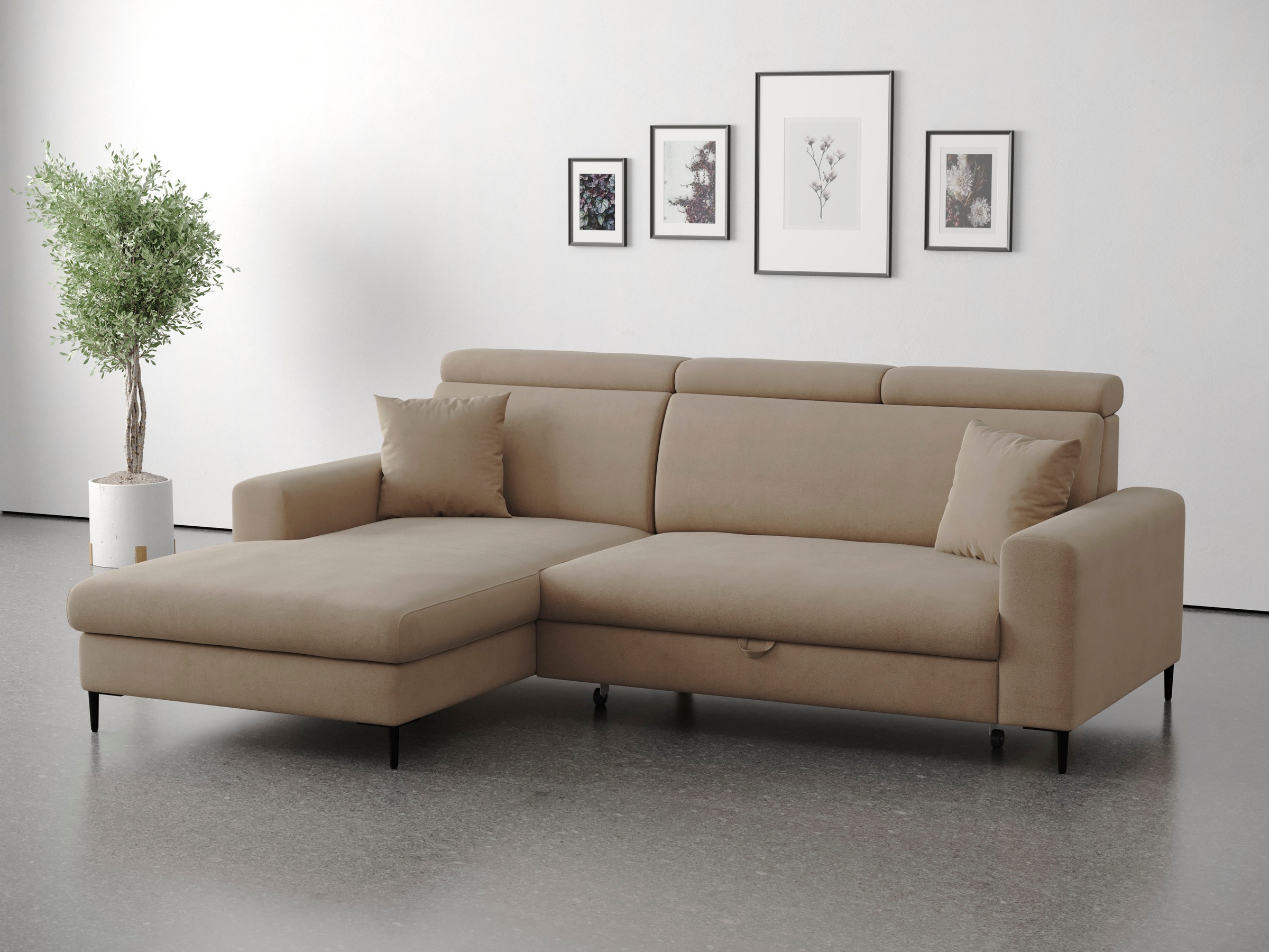 Trends by HG Ecksofa "Nizza, L-Form, B: 250cm" mit Schlaffunktion und Bettkasten