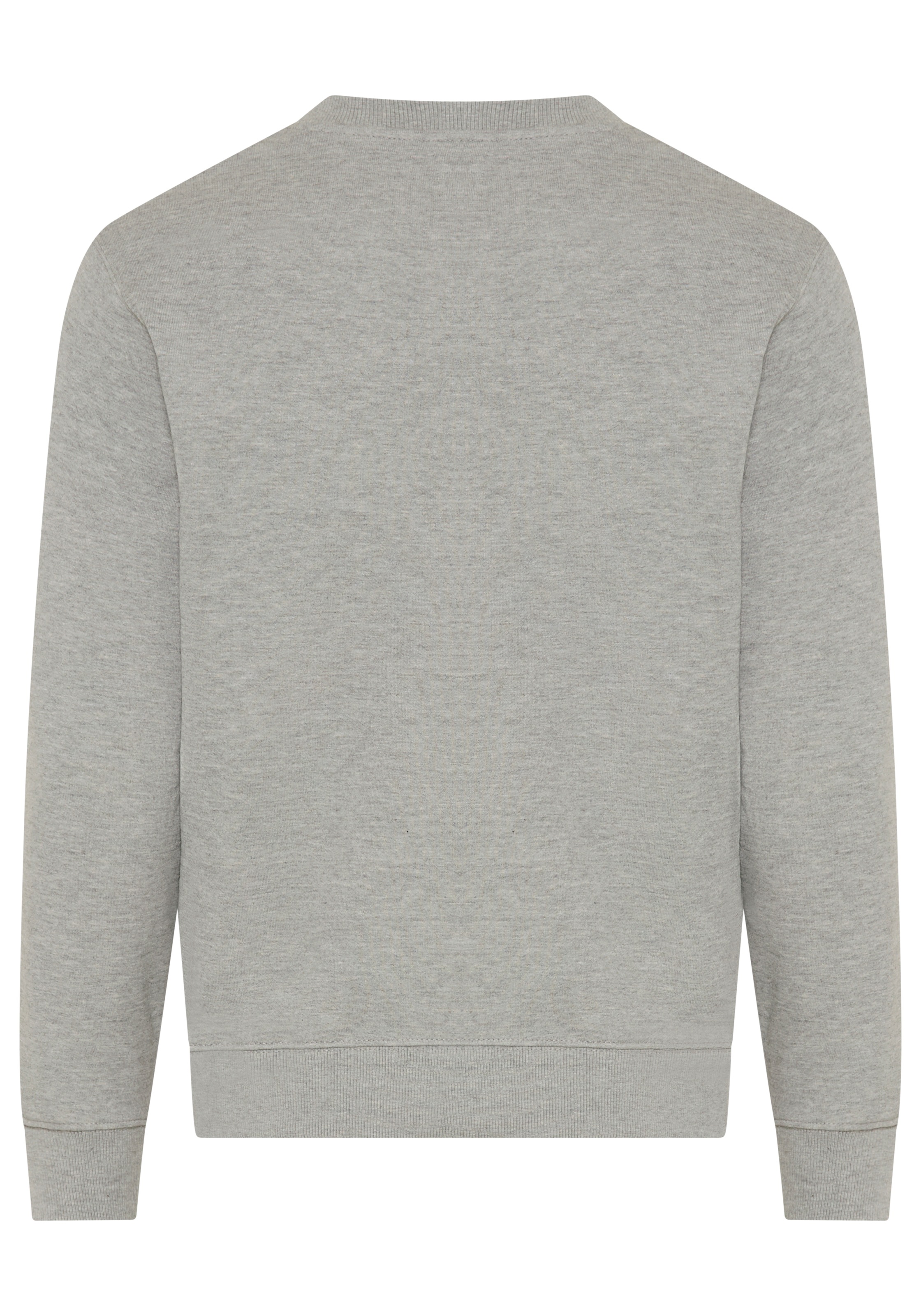 Replay Sweatshirt, in Baumwoll-Qualität günstig online kaufen