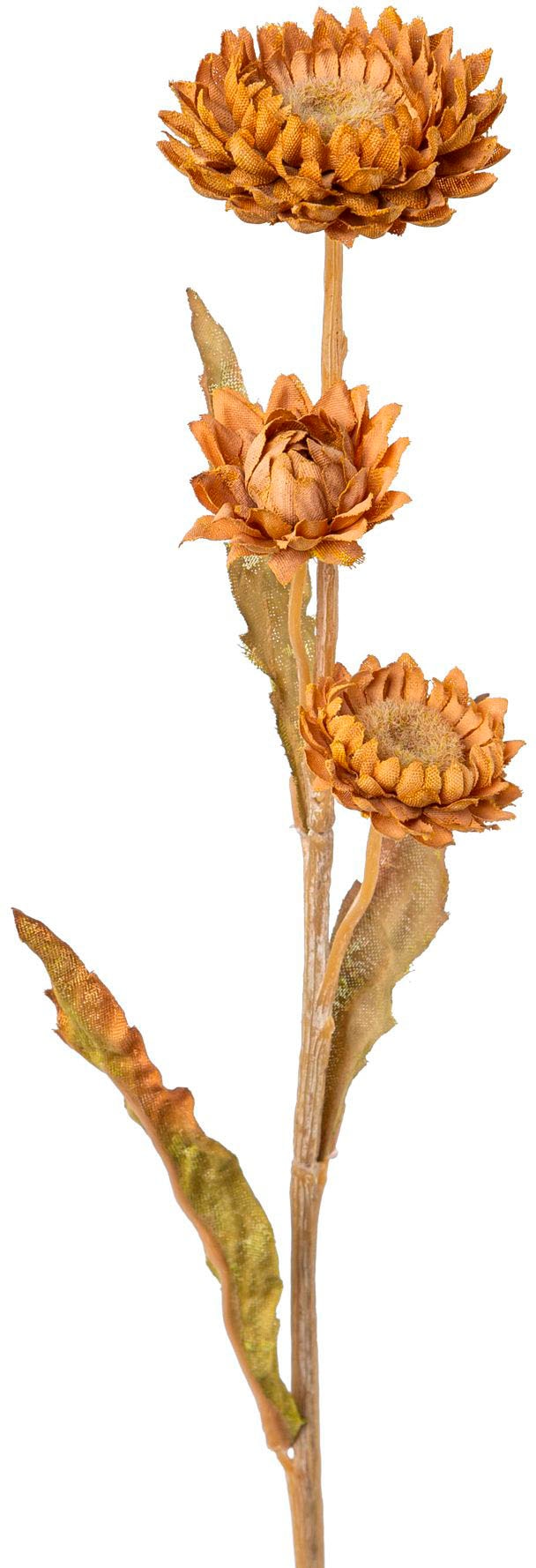 Creativ green Kunstblume »Strohblume«