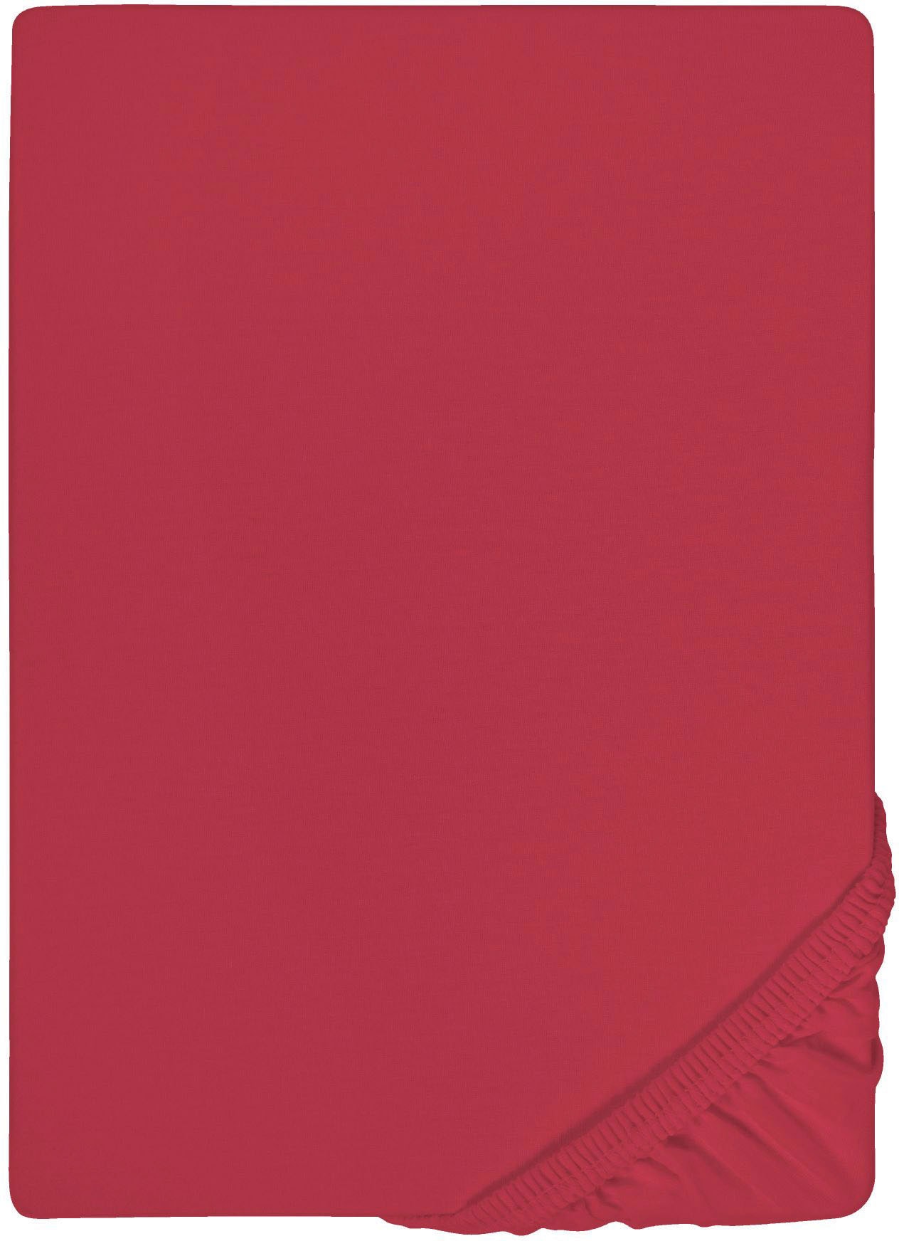 Biberna Spannbettlaken "0077866 Deluxe Jersey-Elastic Spannbetttuch 97% Baumwolle" Jersey mit Elasthan, Rundumgummi, bügelfrei, ab Größe 90 x 190 cm i