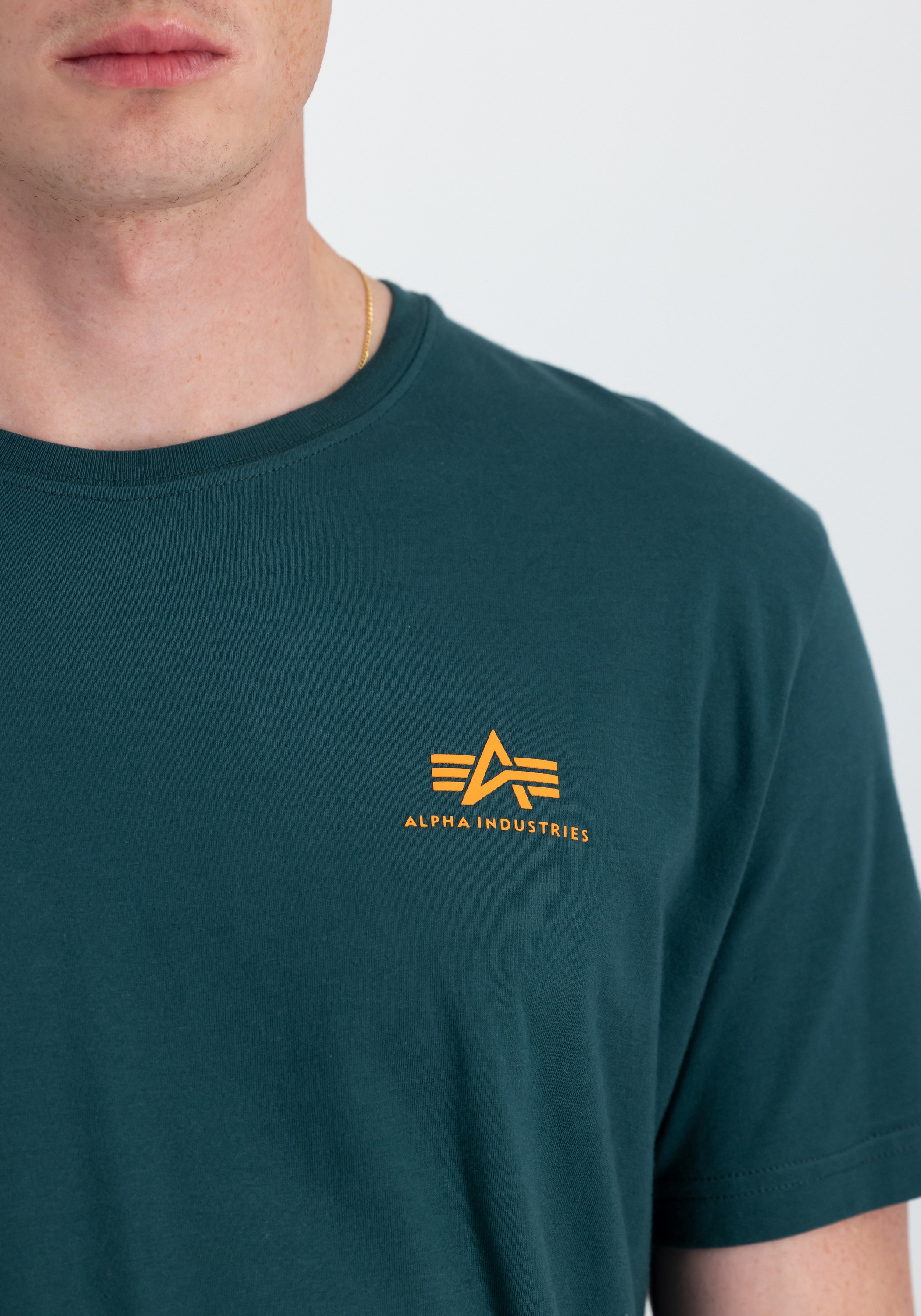 Alpha Industries T-Shirt »Backprint T-Shirt«