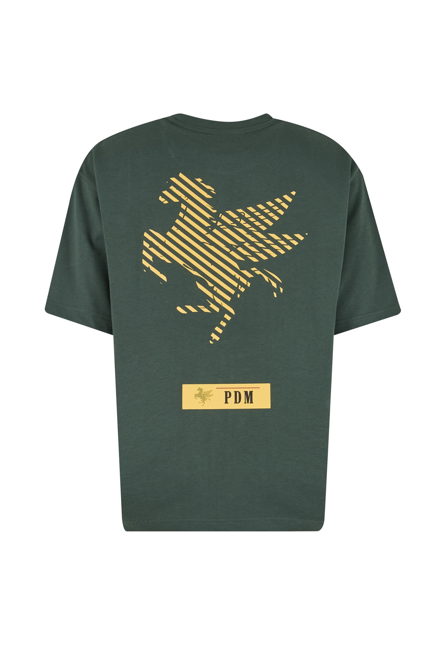 Pas De Monaco T-Shirt »Pas De Monaco PEGUS T-SHIRT« 1