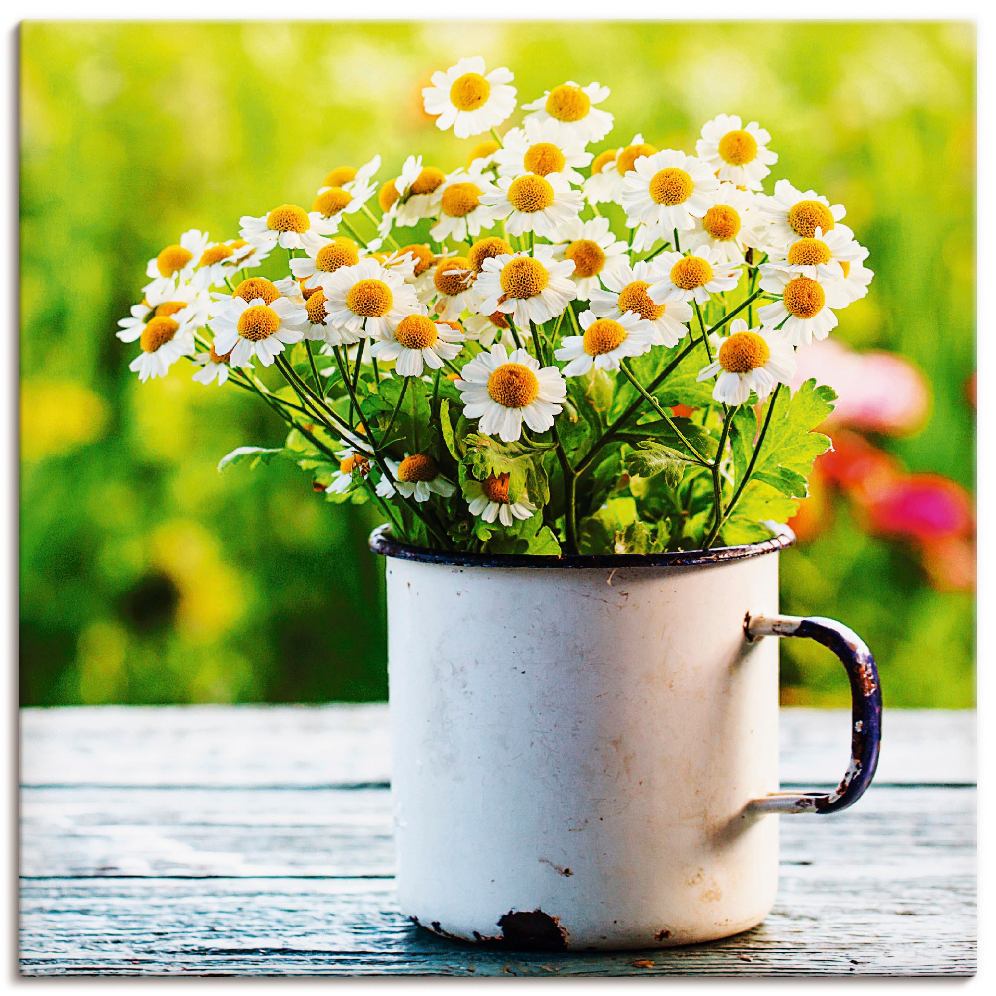 Artland Wandbild "Frühlingsgarten mit Gänseblümchen" Blumen 1 Stk. tlg. als günstig online kaufen