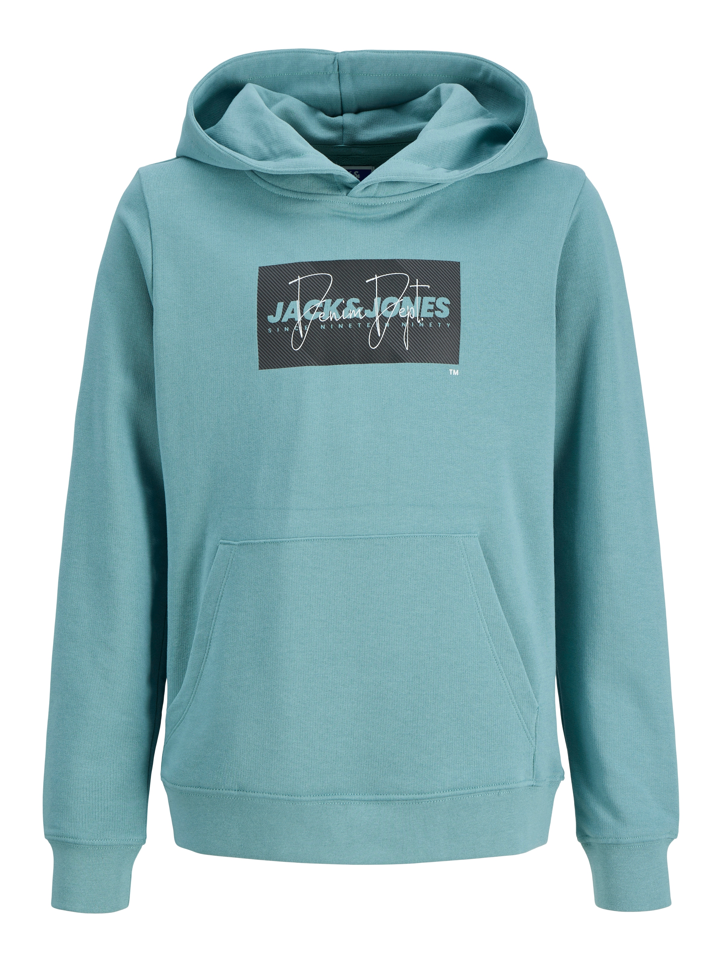 Jack & Jones Junior Kapuzensweatshirt »JJCOLE PRINT SWEAT HOOD JNR«, mit Logoprint
