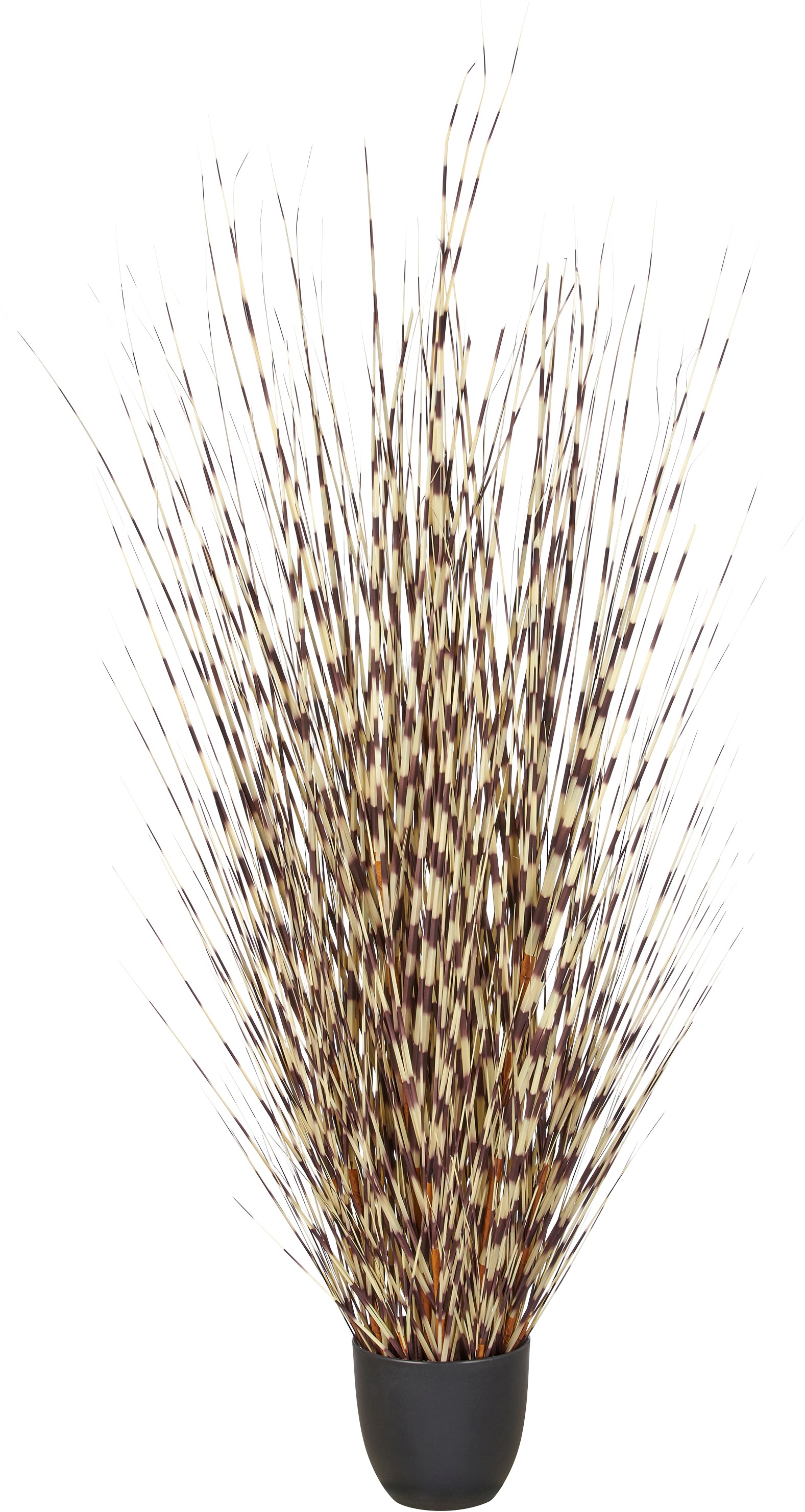 Creativ green Kunstgras "Grasbusch Miscanthus" mit außergewöhnlicher Farbgestaltung