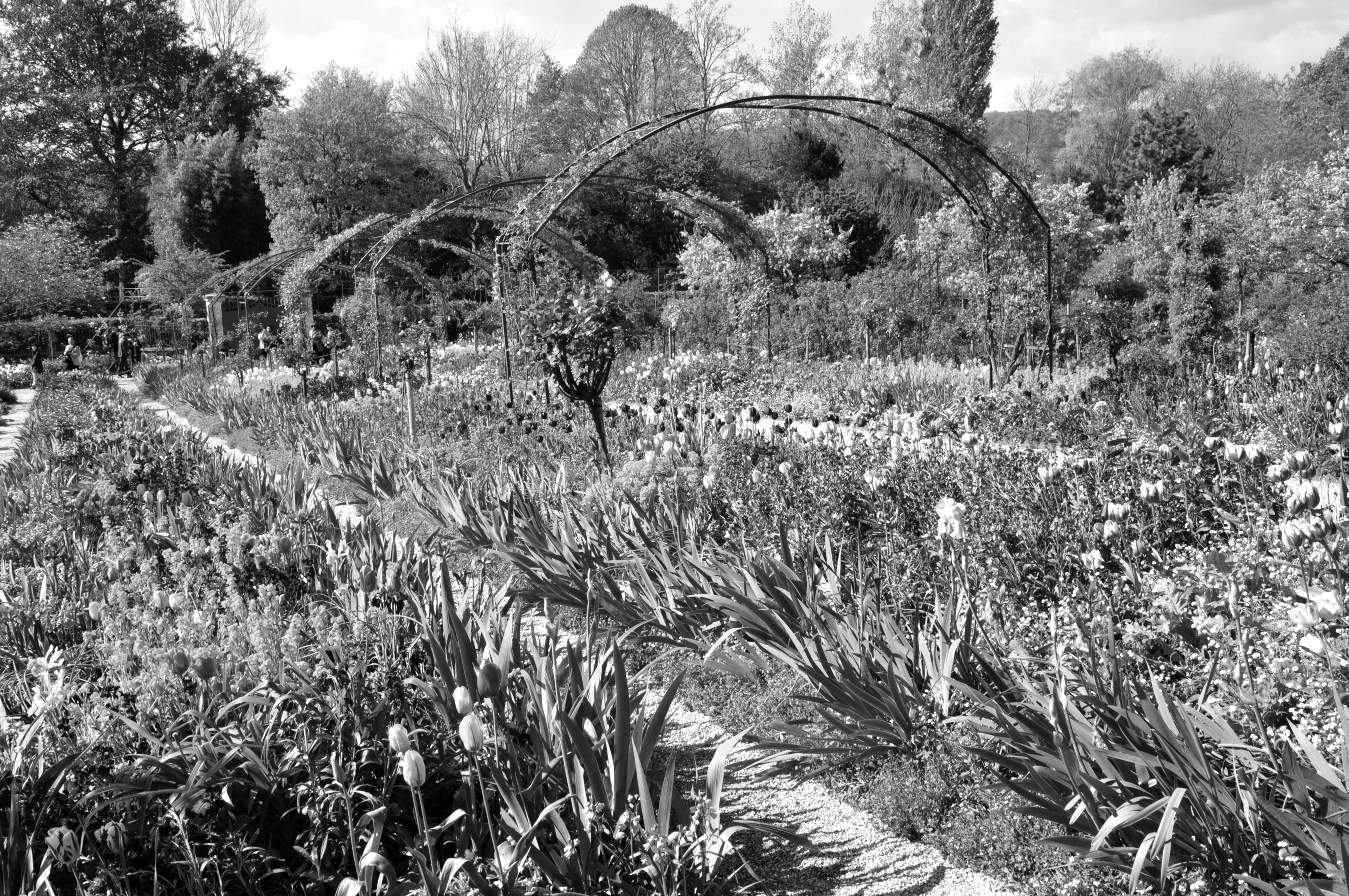 Papermoon Fototapete "Garten Schwarz & Weiß"