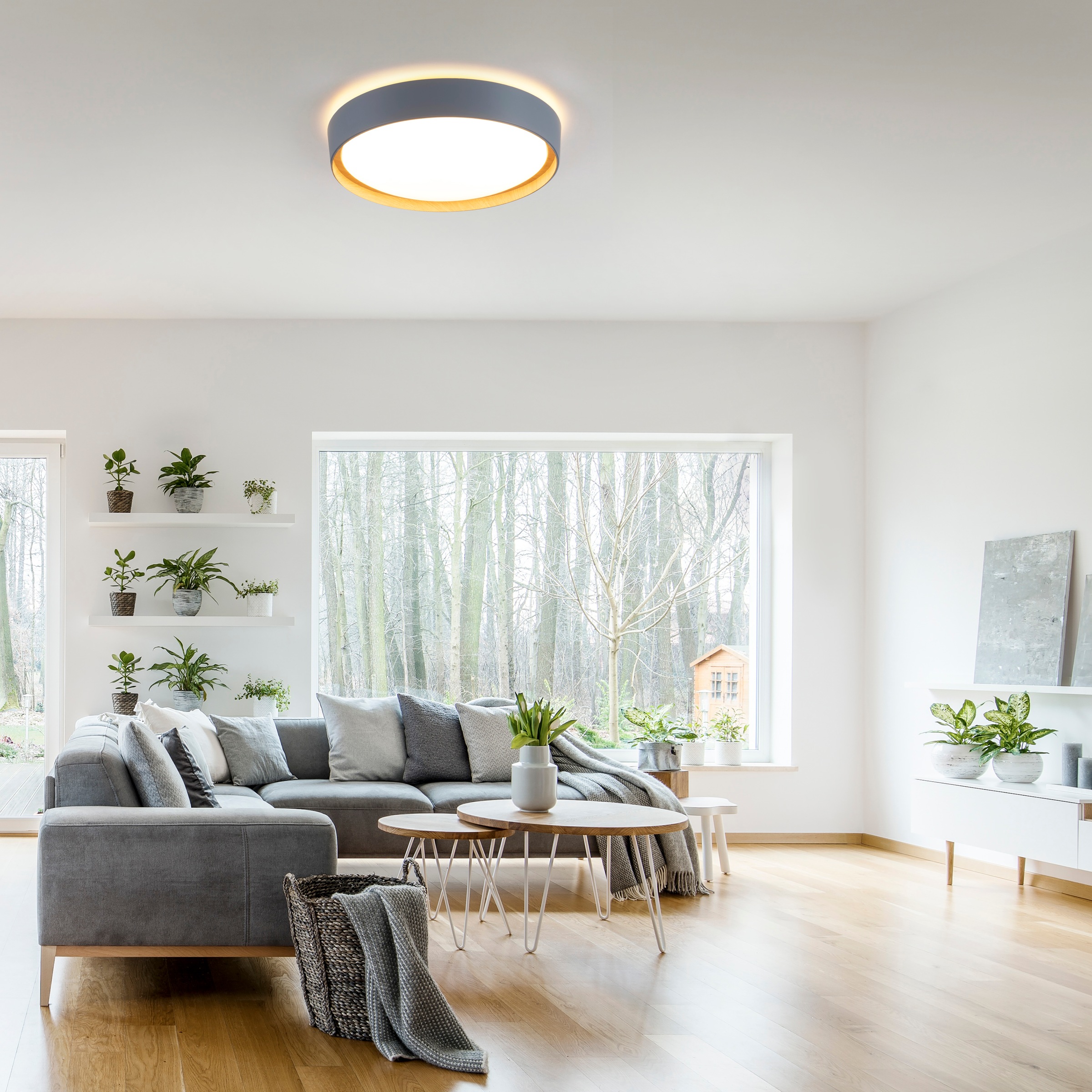 JUST LIGHT Deckenleuchte »EMILIA«, 1 flammig, Leuchtmittel LED-Board | LED fest integriert, LED, dimmbar, Switchmo