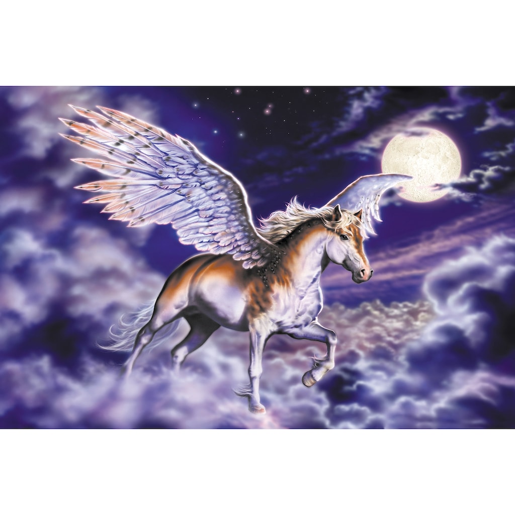 Papermoon Fototapete »Pegasus«