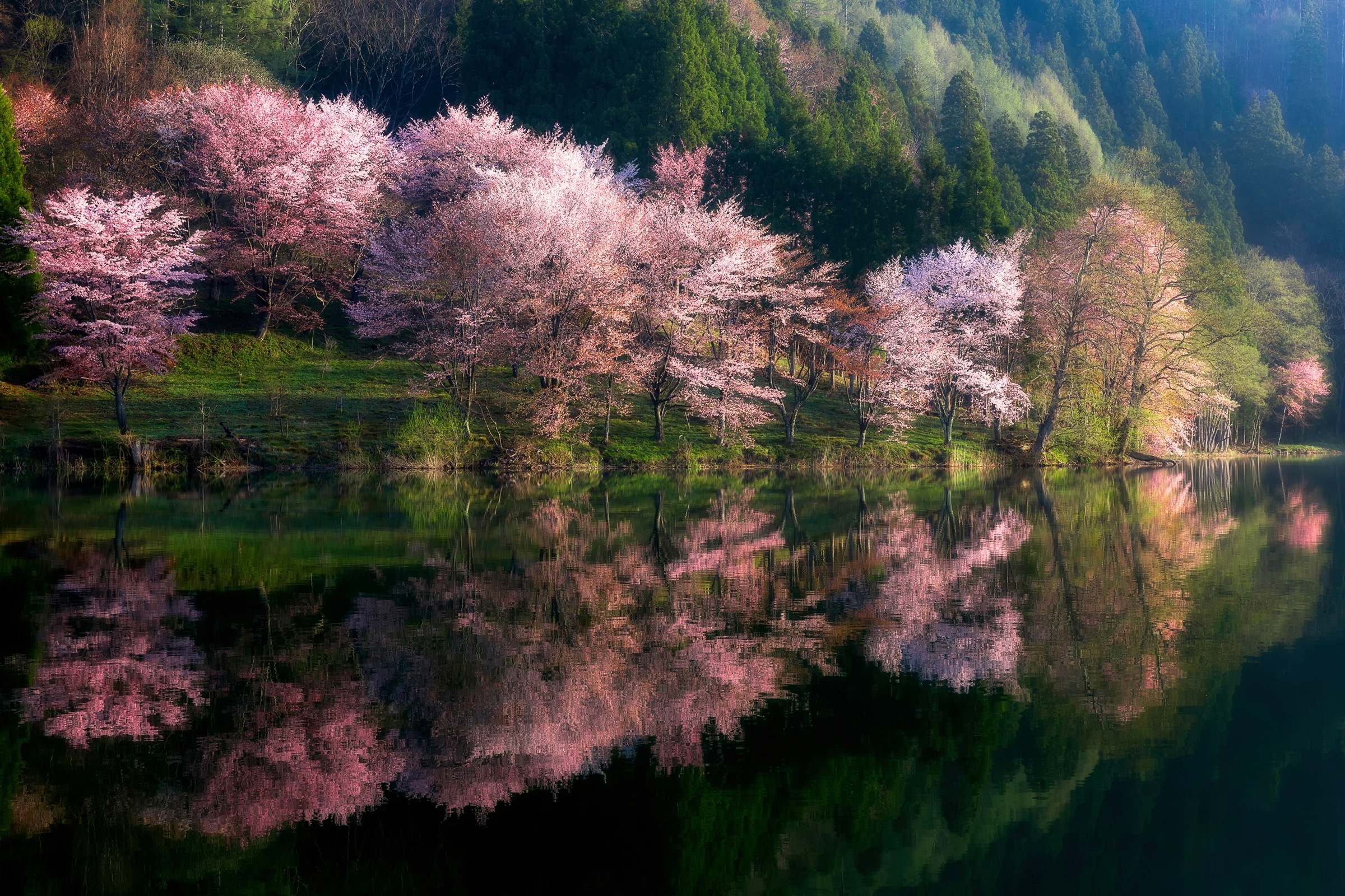 Papermoon Fototapete "Photo-Art TAKESHI MITAMURA, EINE ANDERE WELT"