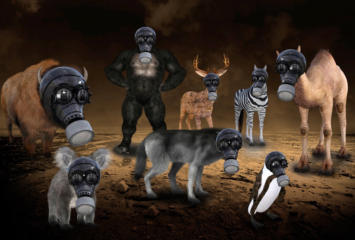 Papermoon "Gasmasken Tiere"
