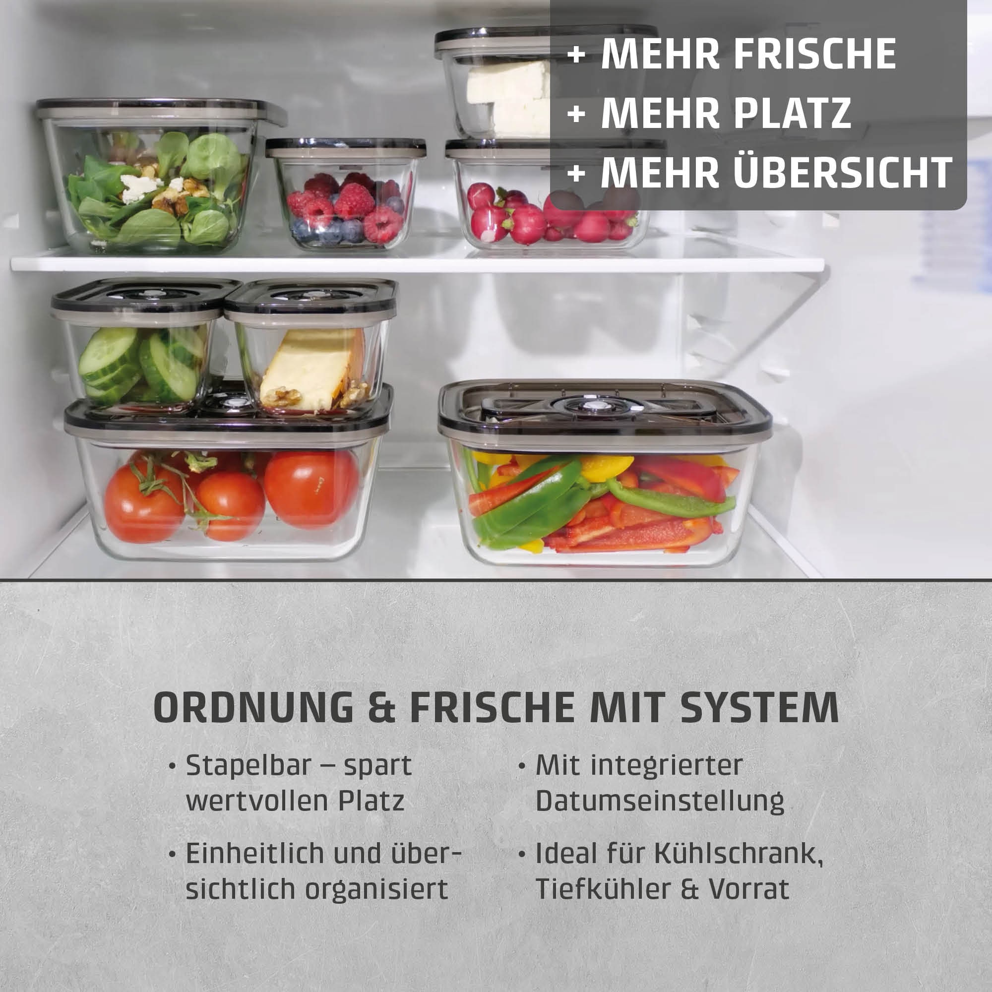 Caso Vakuumierer »1169 Vacu OneTouch Eco-Set«
