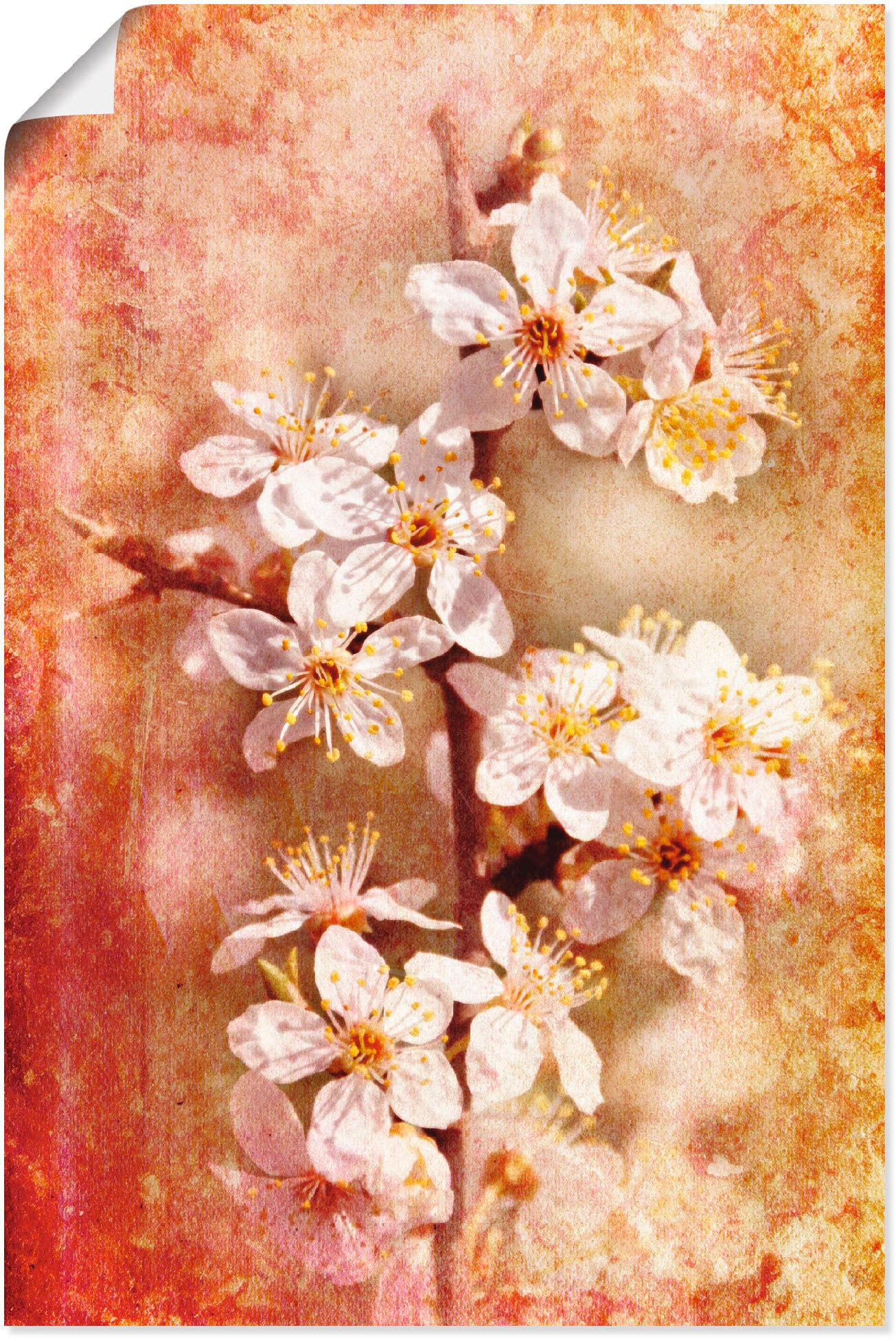 Artland Wandbild "Kirschblüten", Blumen, (1 St.), als Leinwandbild, Poster in verschied. Größen