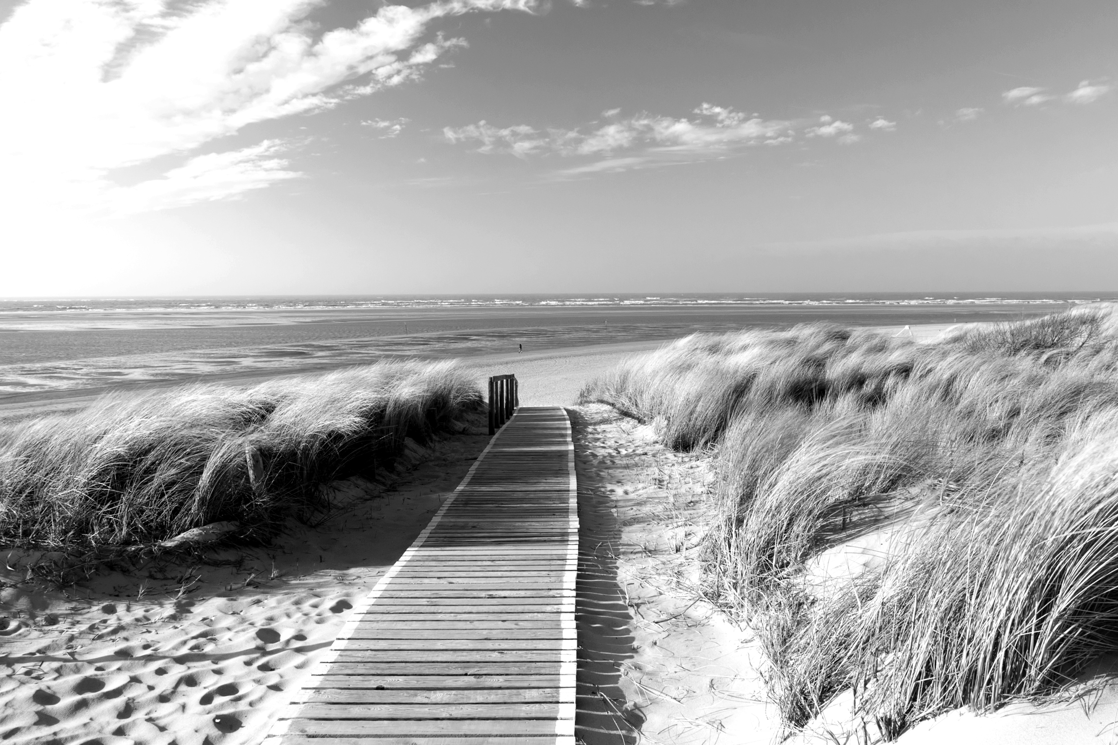 Papermoon Fototapete "Strand Schwarz & Weiß"
