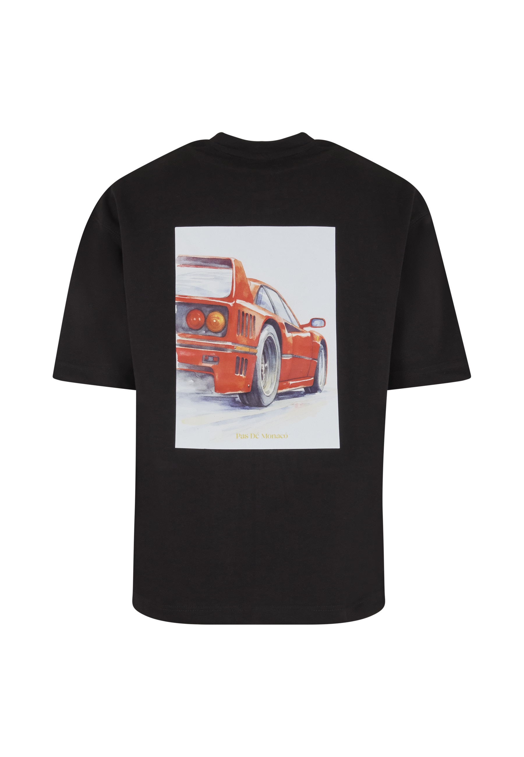 Pas De Monaco T-Shirt »Pas De Monaco LM-F40 T-SHIRT« 1