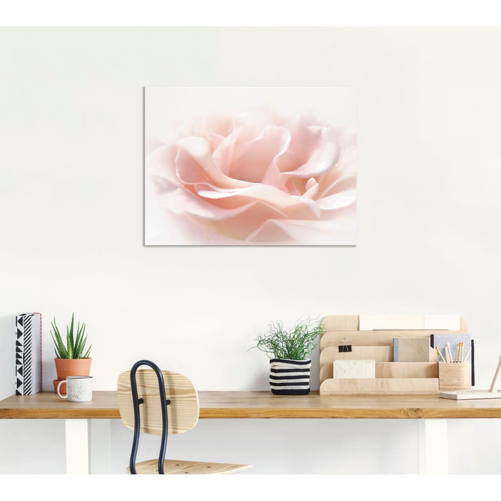 Artland Wandbild »Rose I«, Blumen, (1 St.)