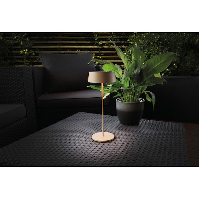 ECO-LIGHT LED Tischleuchte »COCKTAIL«, SCHÖNER WOHNEN DESIGN AWARD | BAUR