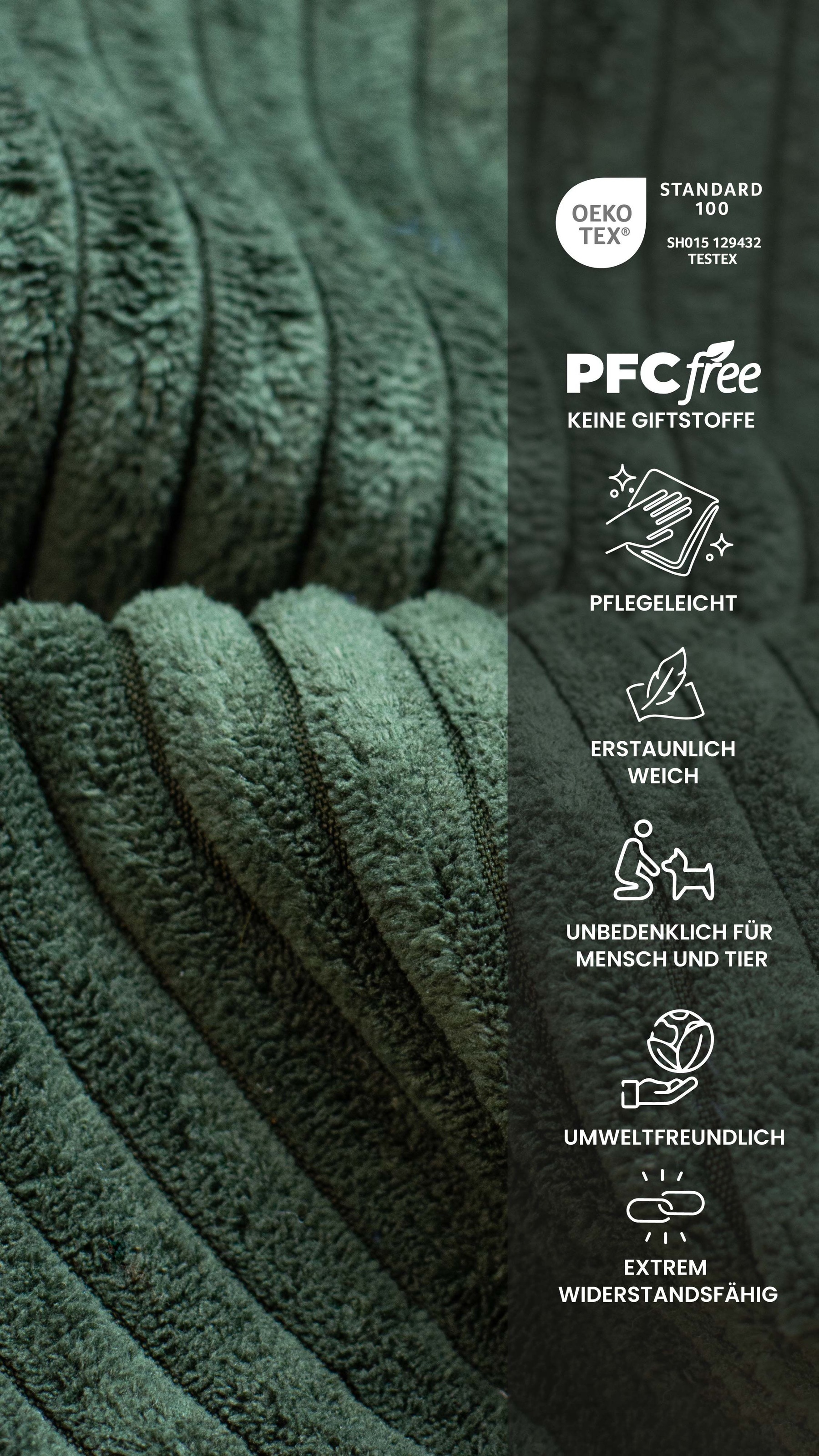 HELA Freischwinger »MERKUR XL«, (Set), 4 St., Breitcord, Federkern, 140 Kg Belastbarkeit, Cord Bezug, 2er & 4er Set