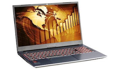 CAPTIVA Business-Notebook »Power Starter R71-741«, (39,6 cm/15,6 Zoll), AMD, Ryzen 7,... kaufen