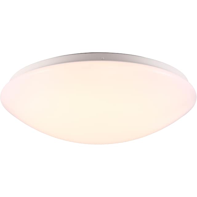 Nordlux LED Deckenleuchte »Ask 36«, LED-Board, Warmweiß, LED Deckenlampe  kaufen | BAUR