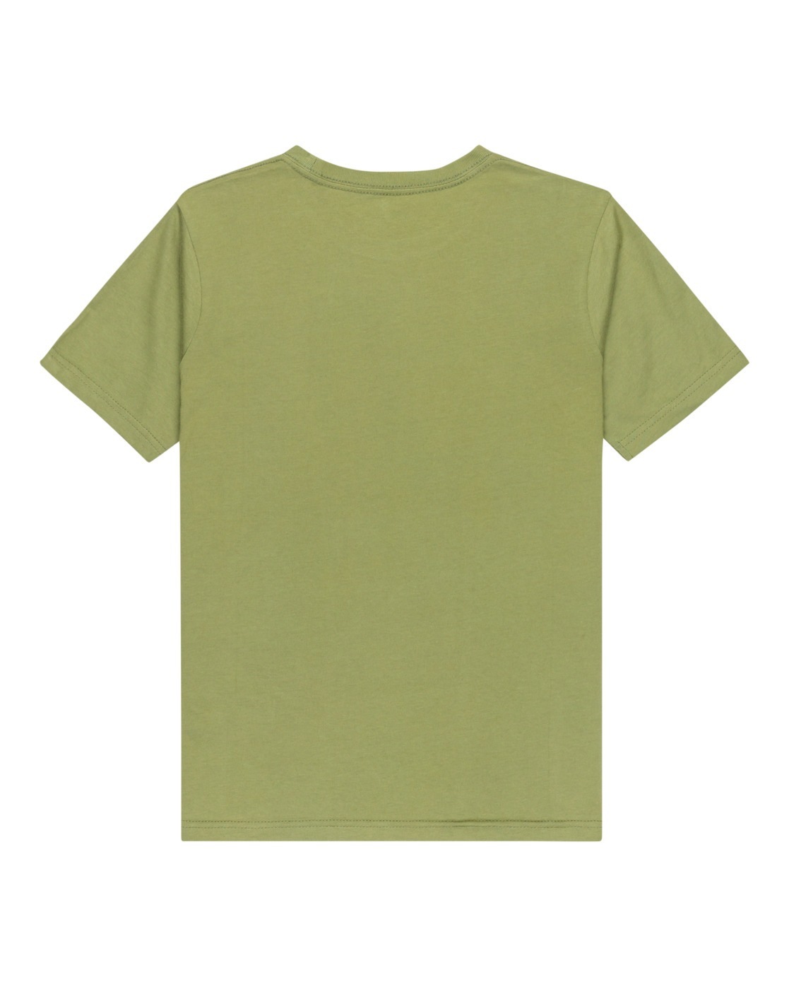 Quiksilver T-Shirt »Ev Type Line«