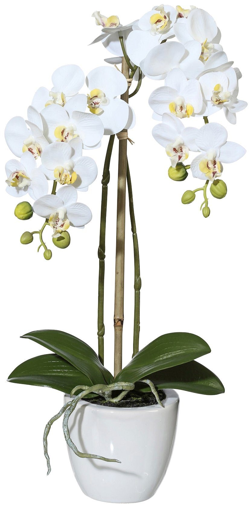 Kunstpflanze »Orchidee Phalaenopsis«, im Keramiktopf