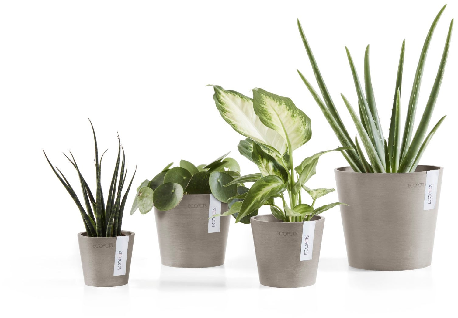 ECOPOTS Blumentopf »Amsterdam Mini 13 Taupe« für den Innenbereich