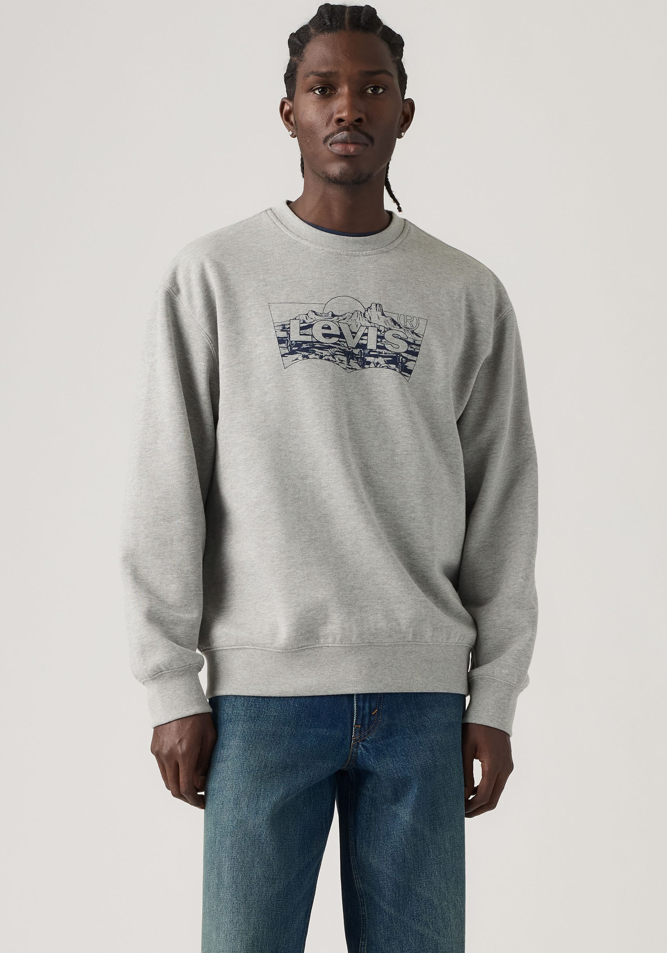 Levis Sweatshirt "RELAXD GRAPHIC CREW NEUTRALS"