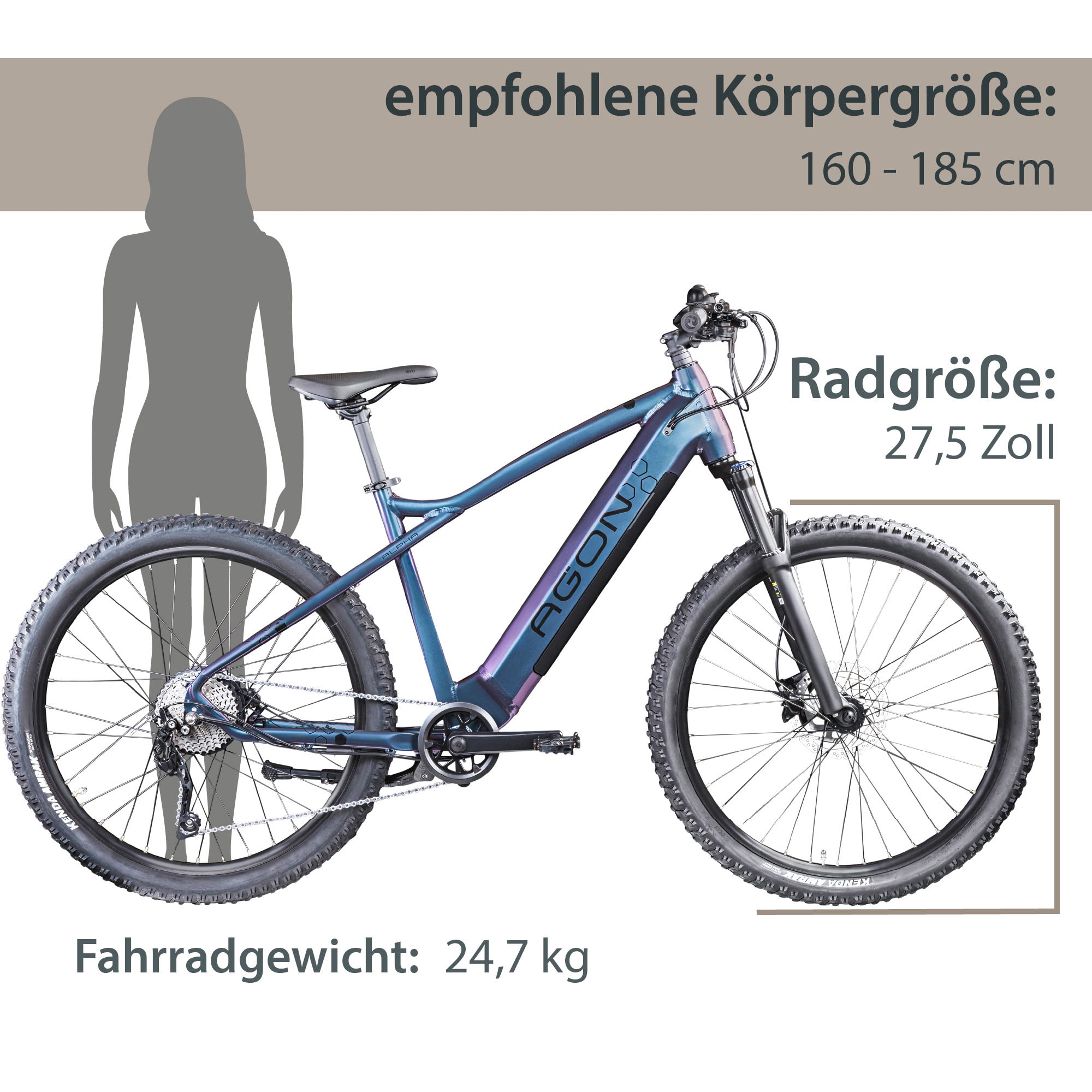 AGON E-Bike »Alpha«, 10 Gang, Deore SGS T6000, Heckmotor 250 W, Pedelec, Elektrofahrrad für Damen u. Herren, MTB