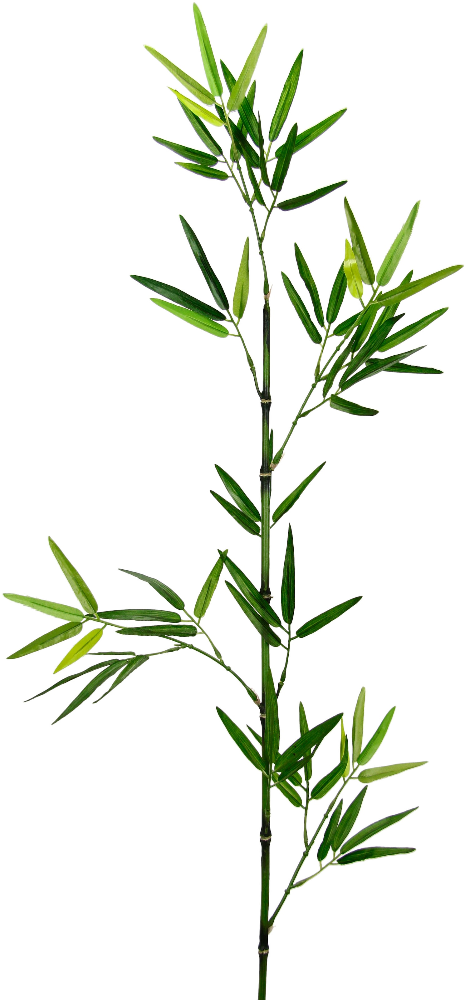 Set I.GE.A. 3er groß bestellen Dekozweig, | Kunstpflanze »Bambuszweig«, BAUR