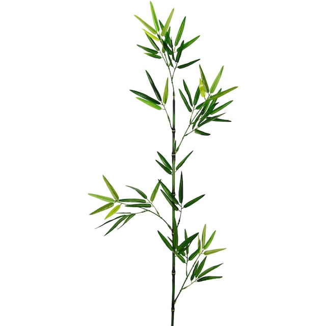 I.GE.A. Kunstpflanze »Bambuszweig«, Dekozweig, groß 3er Set bestellen | BAUR