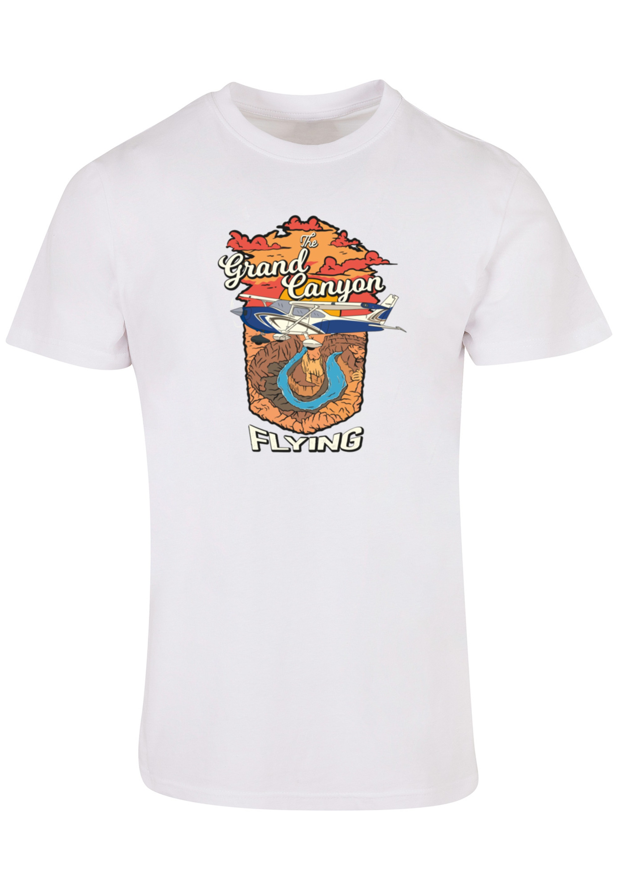 F4NT4STIC T-Shirt "Grand Canyon Flying", Print günstig online kaufen