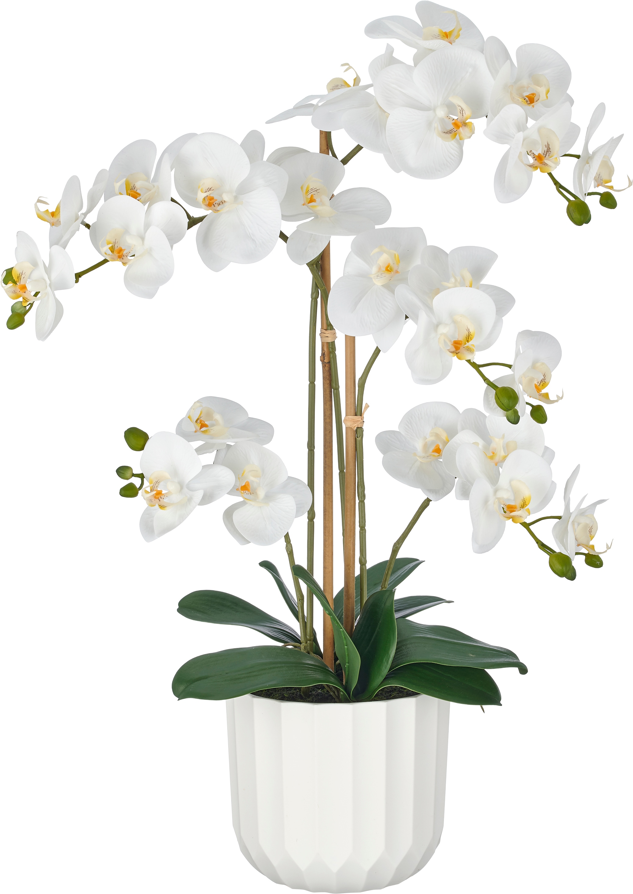 Creativ green Kunstorchidee "Phalaenopsis" im Design-Pflanzgefäß