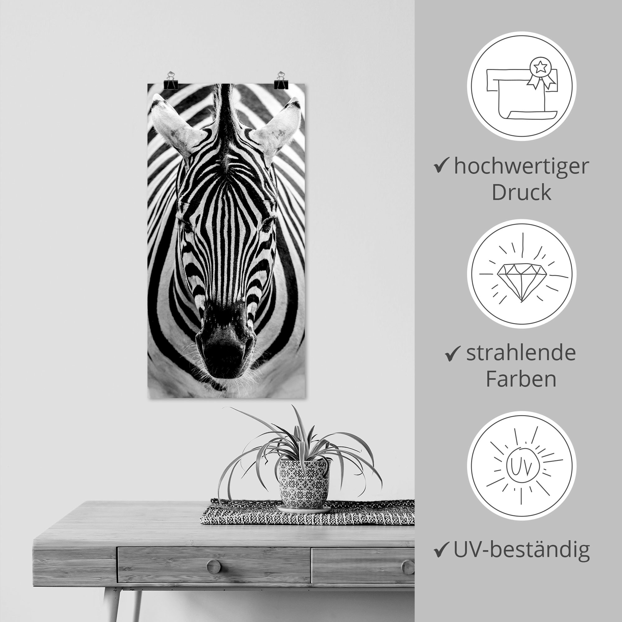 Artland Wandbild »Zebra«, Wildtiere, (1 St.), als Leinwandbild, Poster, Wandaufkleber in verschied. Größen