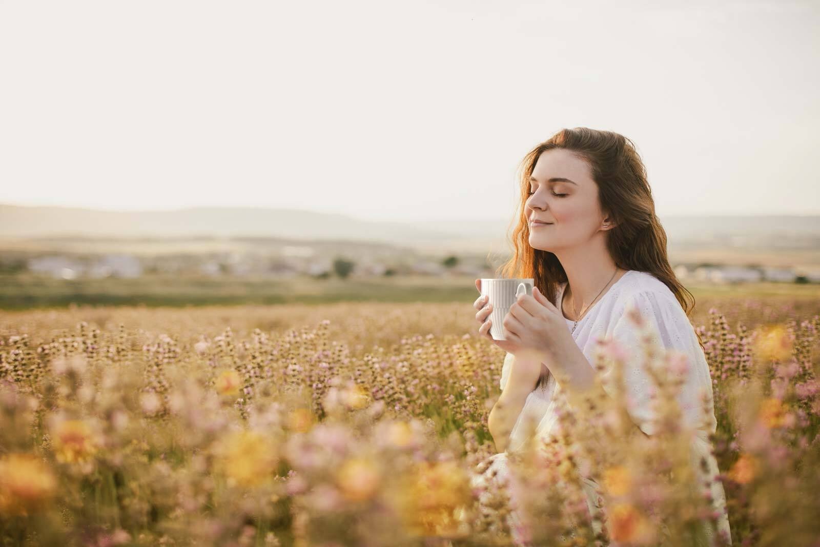 Seltmann Weiden Becher "Henkelbecher Amina 0,36 l 6er Set" günstig online kaufen