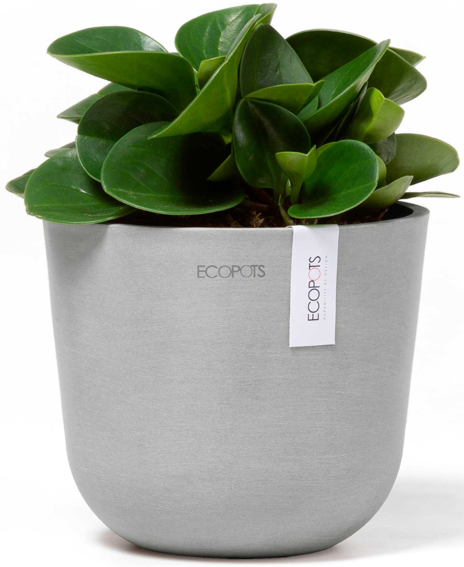 ECOPOTS Blumentopf »Oslo Mini 16 Weißgrau«, für den Innenbereich