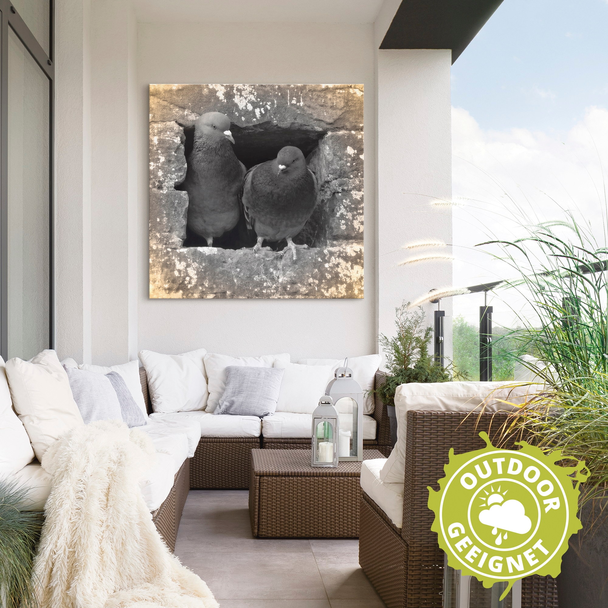 Artland Wandbild »Tauben Liebe«, Vögel, (1 St.), als Alubild, Outdoorbild, Leinwandbild, Poster in verschied. Größen