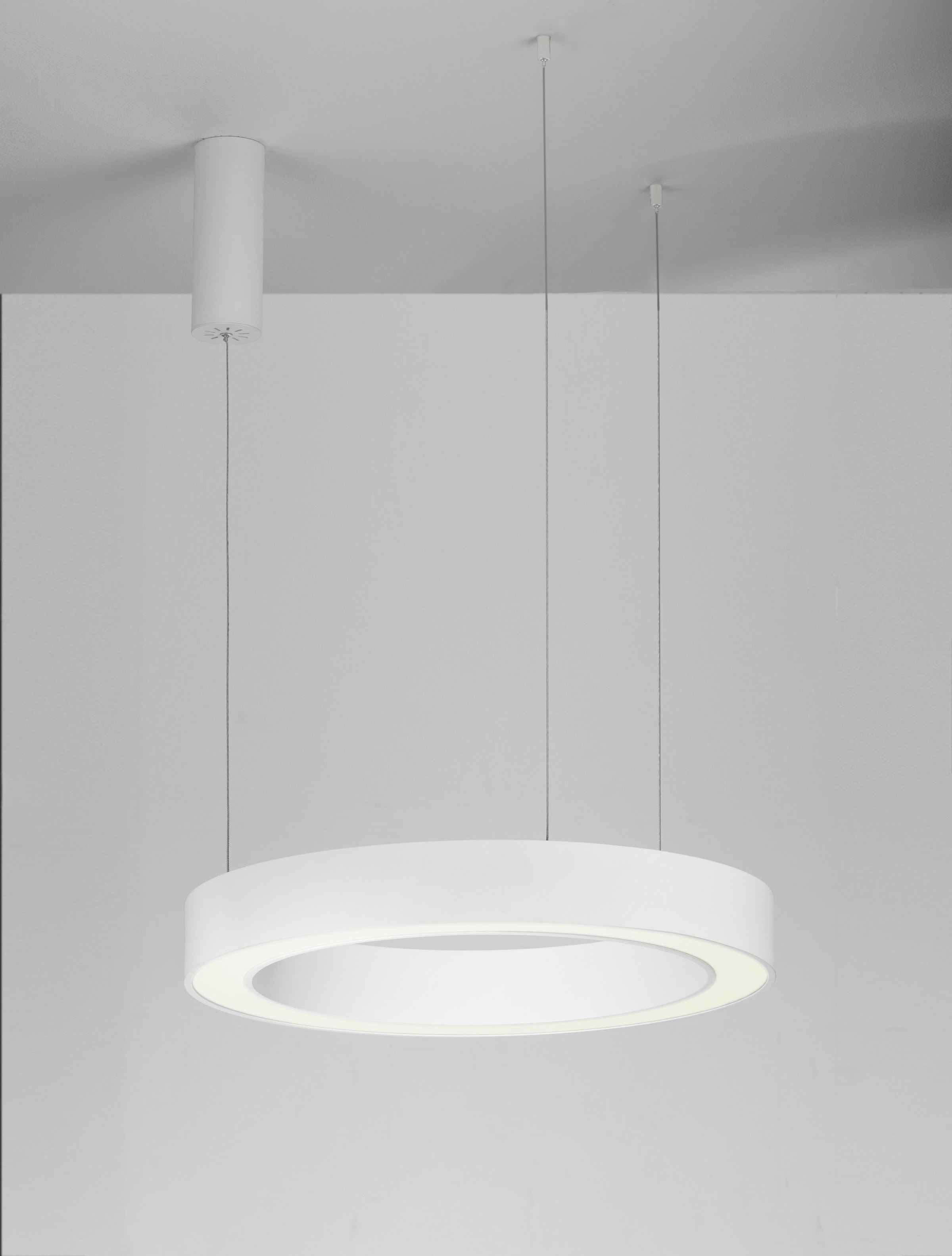 Nova Luce LED-Hängeleuchte »MORBIDO«, 1 flammig, Leuchtmittel LED-Modul | LED fest integriert