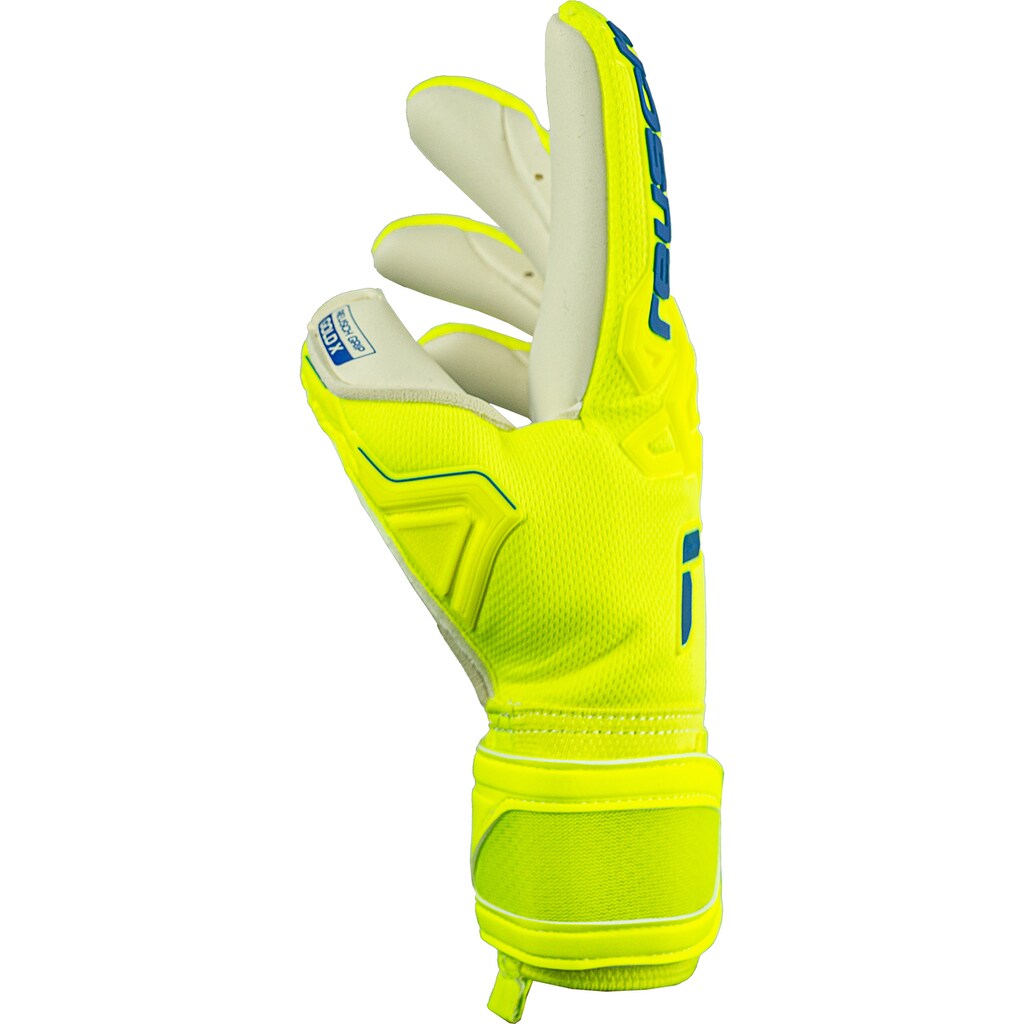 Reusch Torwarthandschuhe »Attrakt Freegel Gold X«