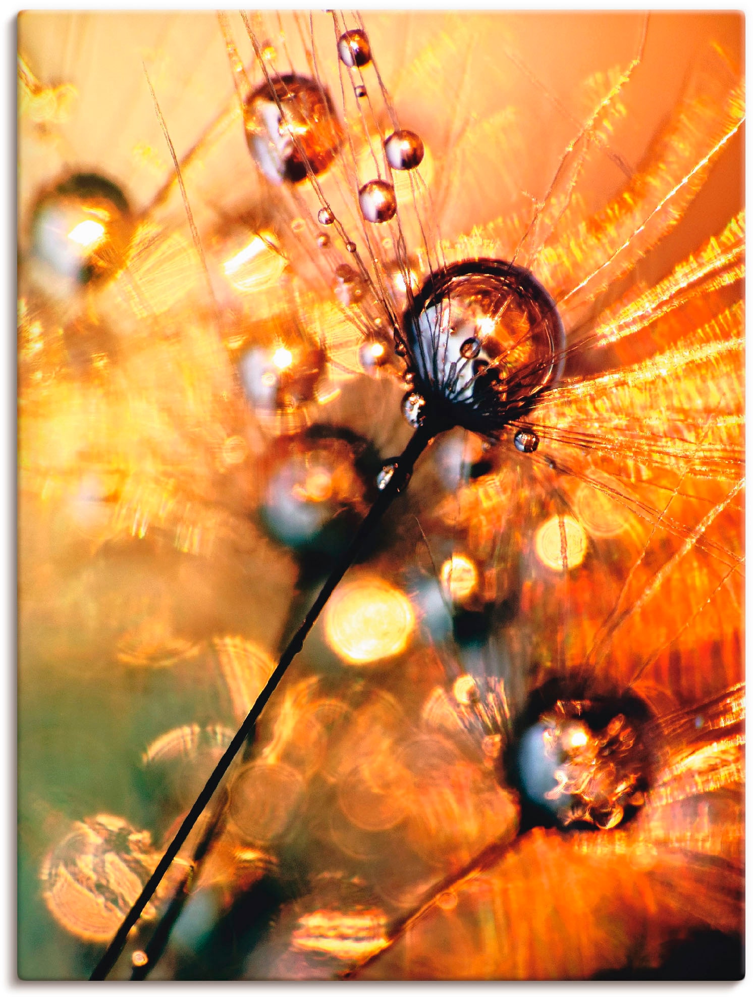 Artland Leinwandbild "Pusteblume Energy" Blumen 1 Stk. tlg. auf Holzrahmen gespannt