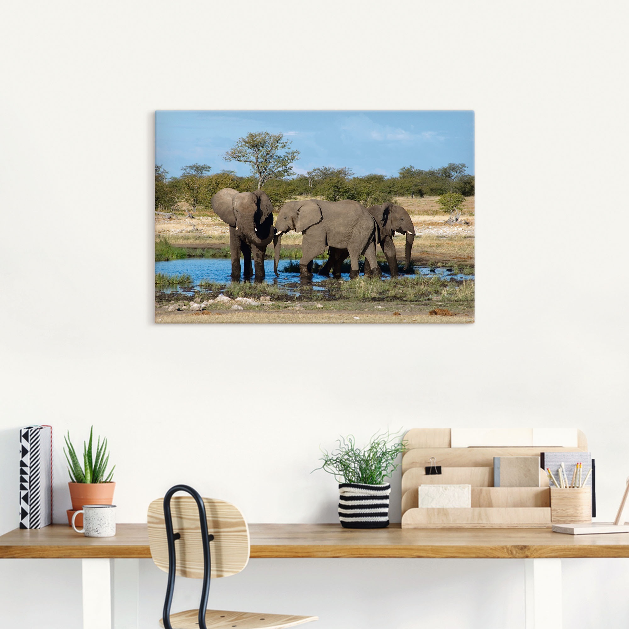 Artland Wandbild "Afrikanischer Elefant EtoshaNationalpark", Elefanten Bild günstig online kaufen