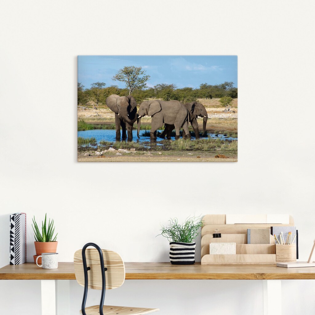 Artland Wandbild »Afrikanischer Elefant EtoshaNationalpark«, Elefanten Bilder, (1 St.)
