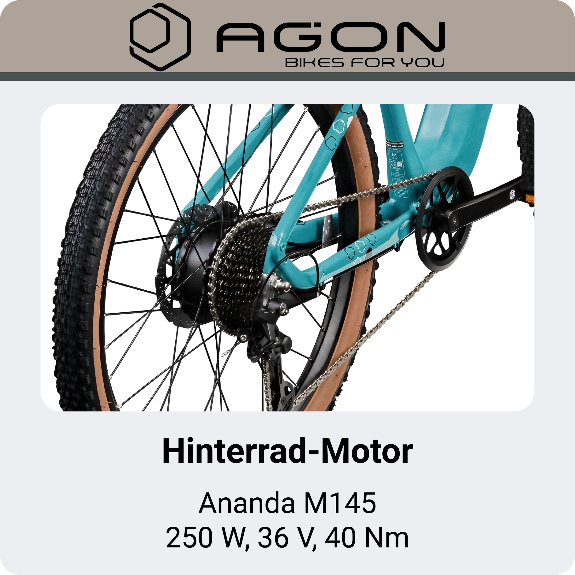 AGON »Alpha« 10 Gang Shimano Deore SGS T6000 Schaltwerk Kettenschaltung Heckmotor 250 W Pedelec, Elektrofahrrad für Damen u. Herren, MTB