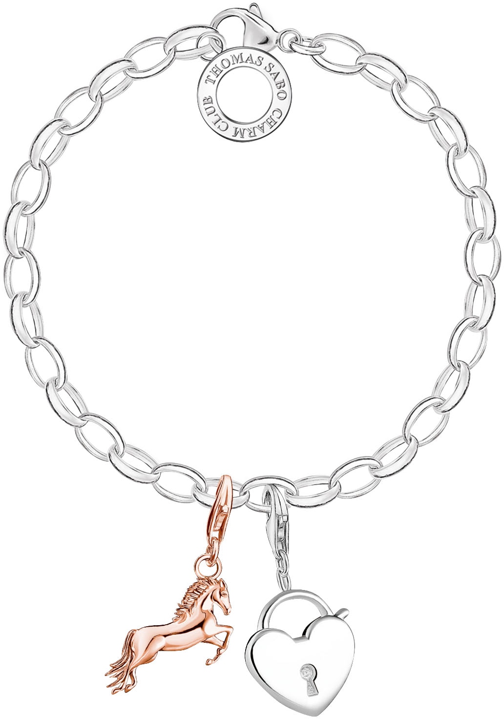 THOMAS SABO Charm-Armband »Classic Klein, X0031-001-12-M, L, X0031-413-39-L17,L19,5«