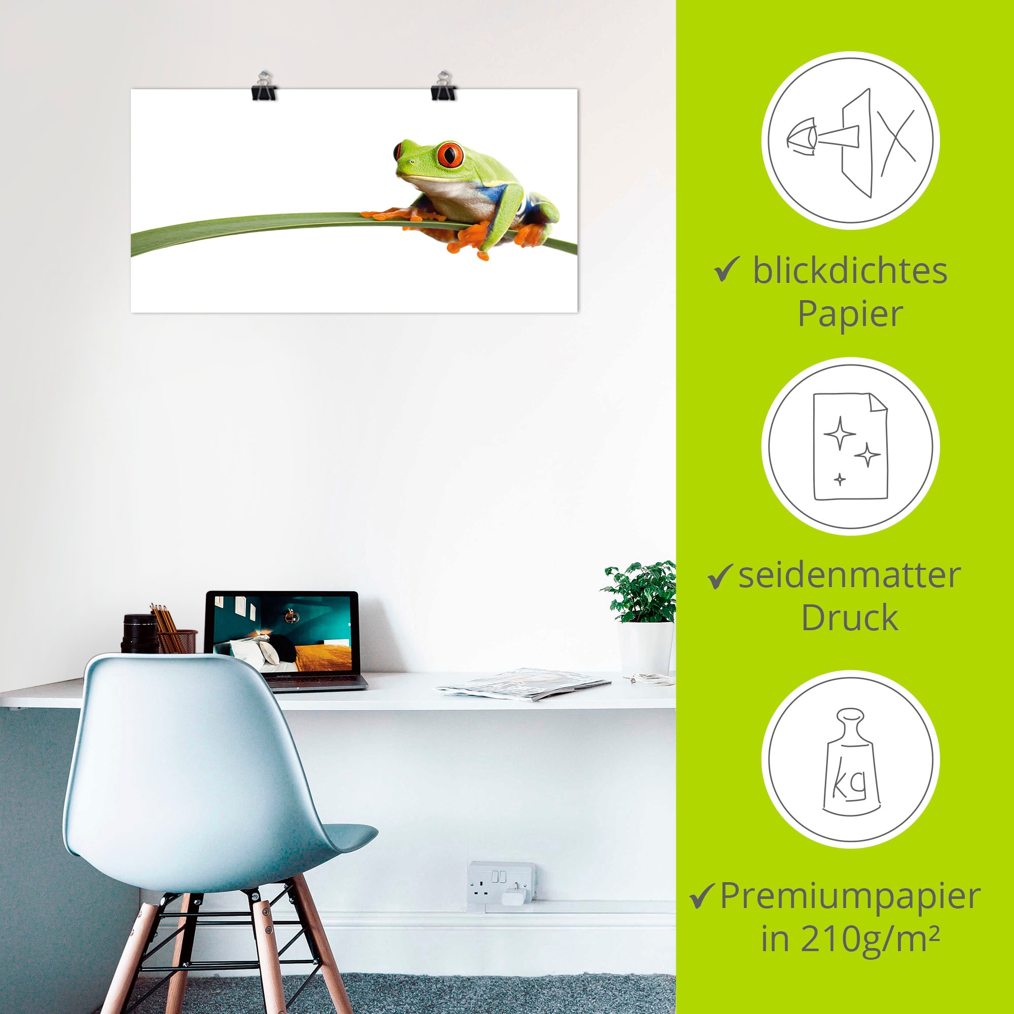 Artland Wandbild »Frosch auf einem Blatt« Wassertiere 1 Stk. tlg. als Alubild, Outdoorbild, Leinwandbild, Poster, Wandaufkleber