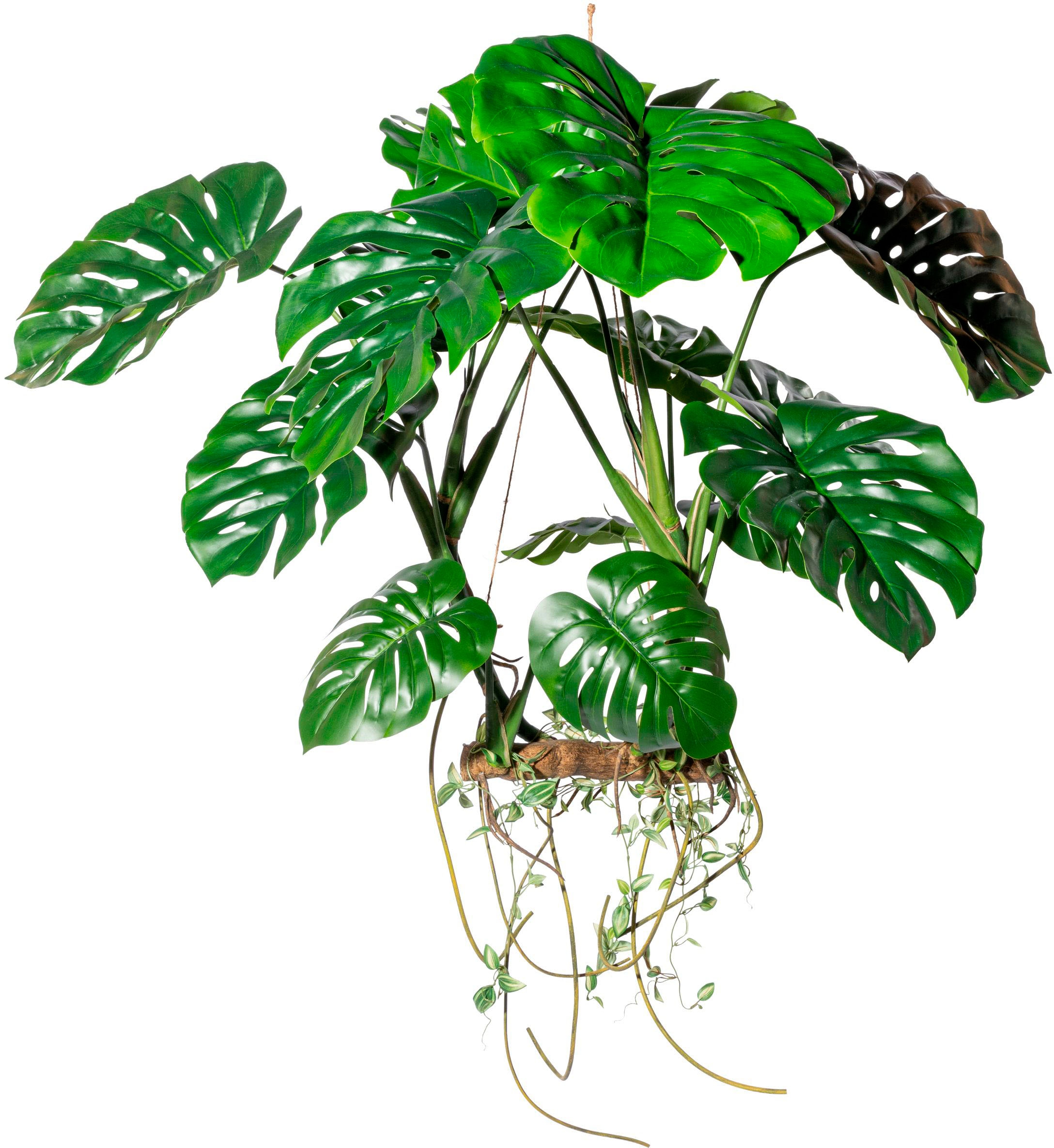 Creativ green Kunstbaum »Hängeobjekt Splitphilodendron«