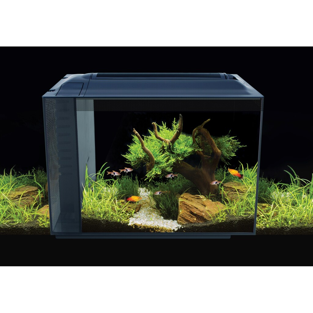 FLUVAL Aquarium »Spec XV 60«